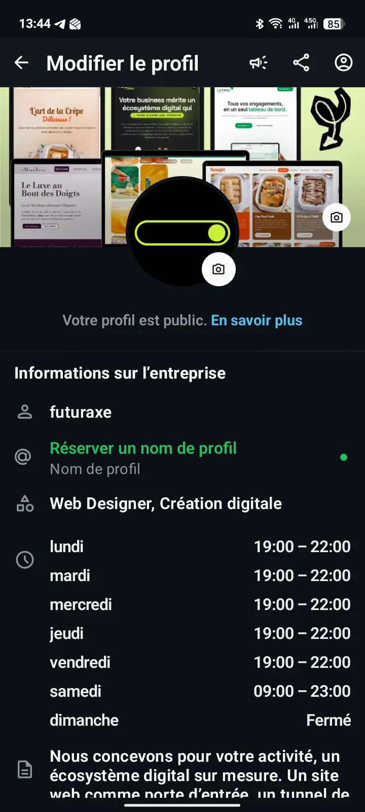 &Eacute;cran de configuration du profil professionnel dans WhatsApp Business, avec la description, les horaires et le site web